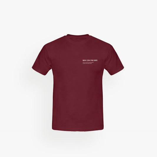 Classic Shirt Velvet Wine · 23X053-2