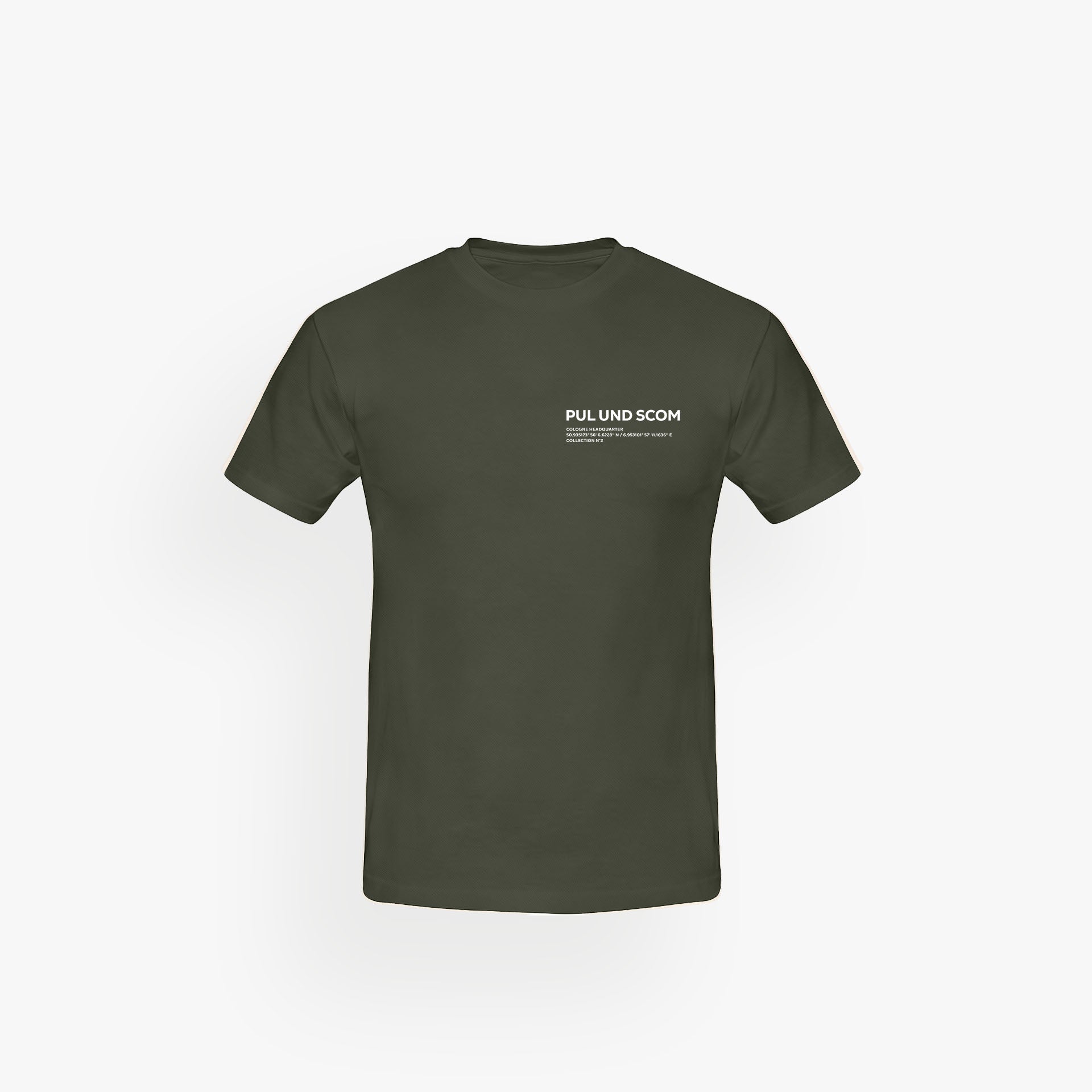 Classic Shirt Pale Verde · 23X140-2