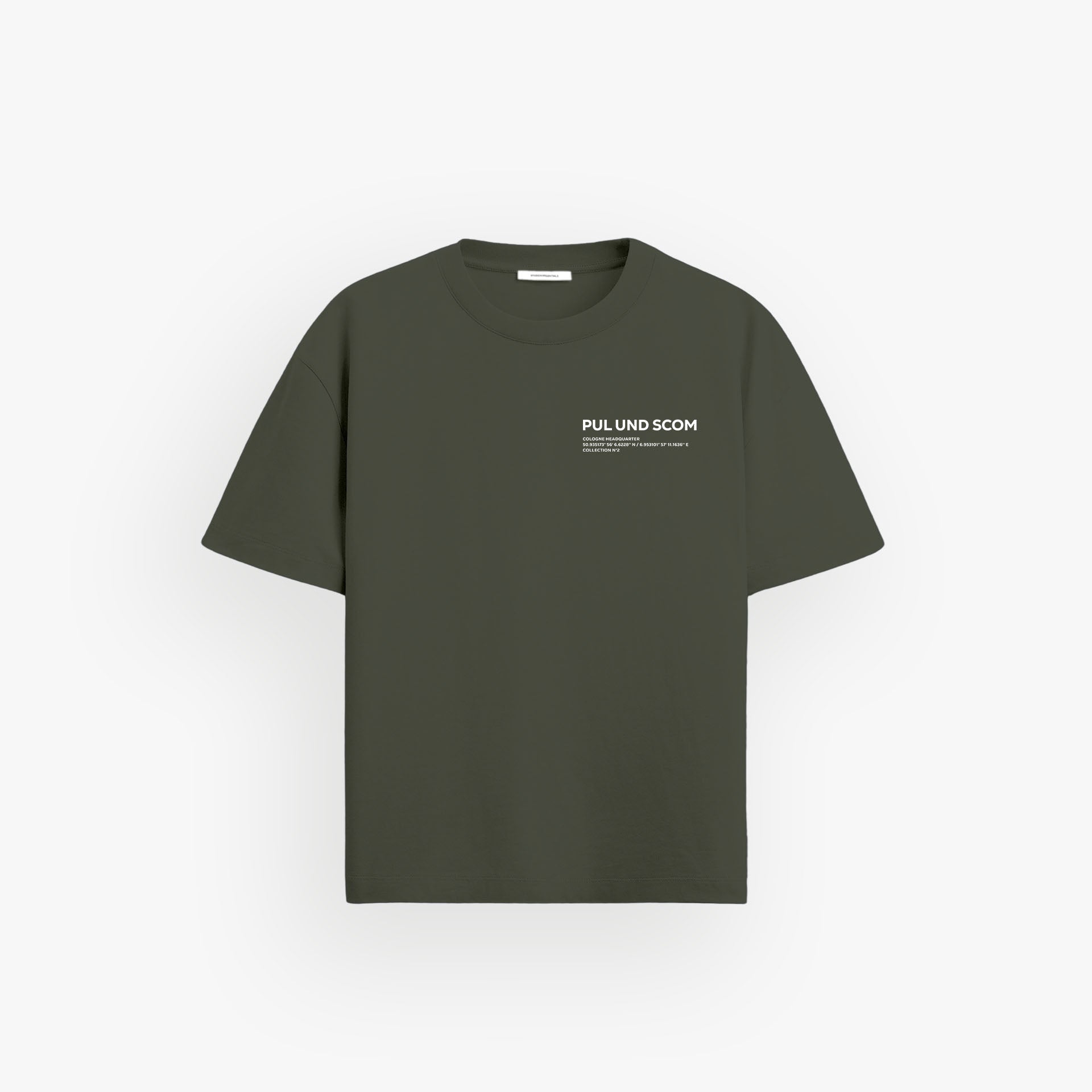 Iconic Oversized Shirt Pale Verde · 23X140-2