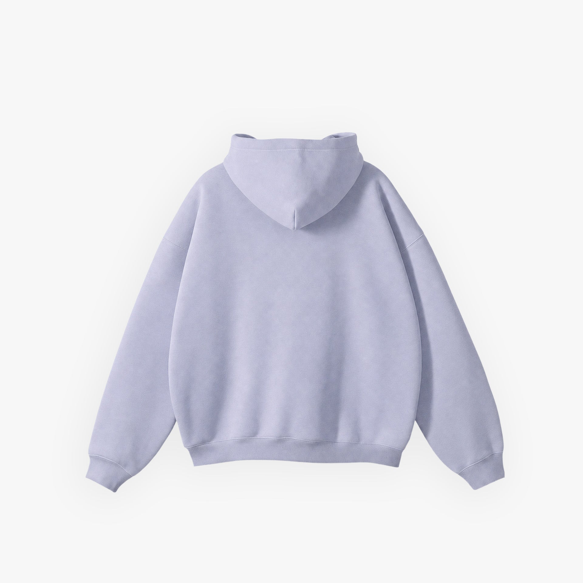 Iconic Fashion Zip Hoodie // Cozy Samples